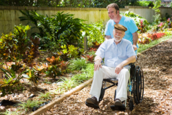 elderly in a wheelchair with companion